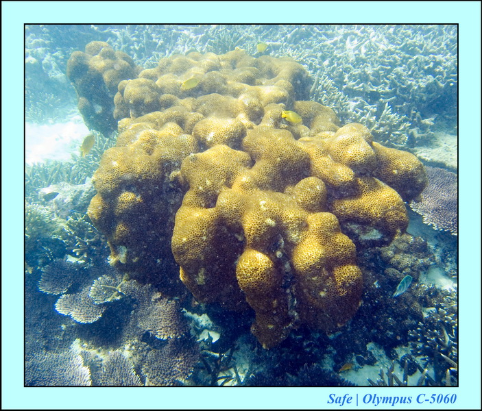 2008 - 07 - Redang - 009